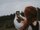 Ein Mädchen steht in der Natur und macht ein Selfie von sich.